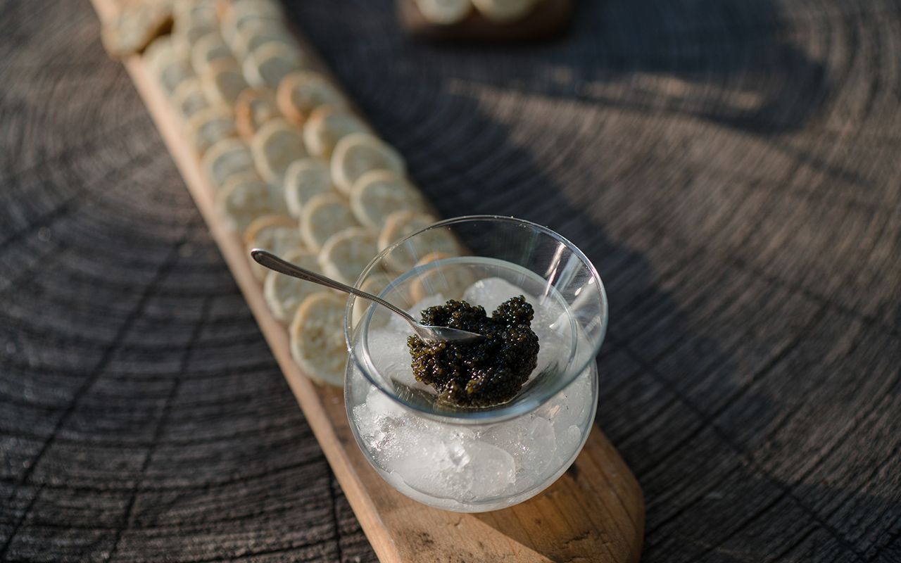 caviar apus casa de pe insula zaga