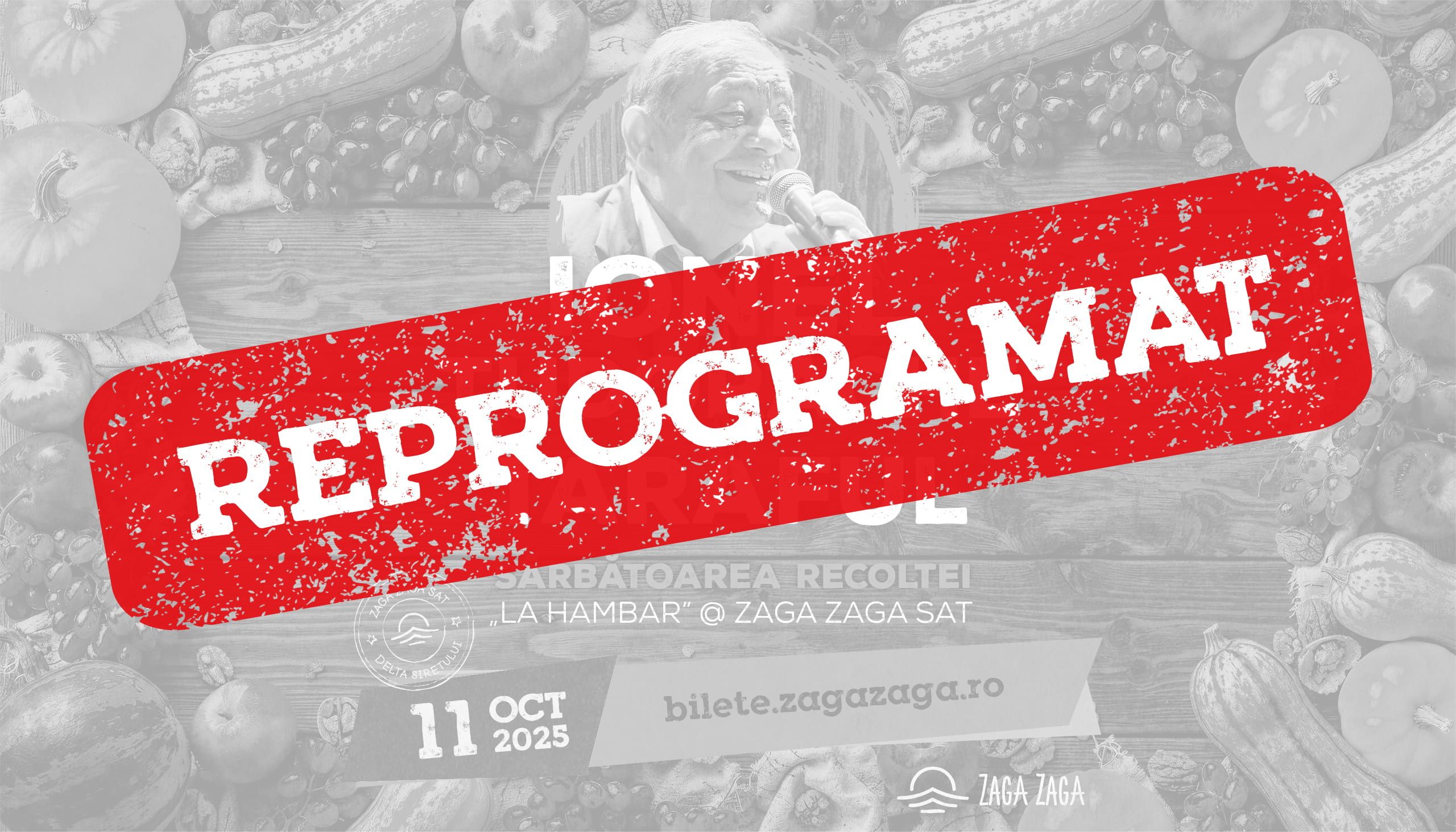 ionel tudorache postponed 08e78e53