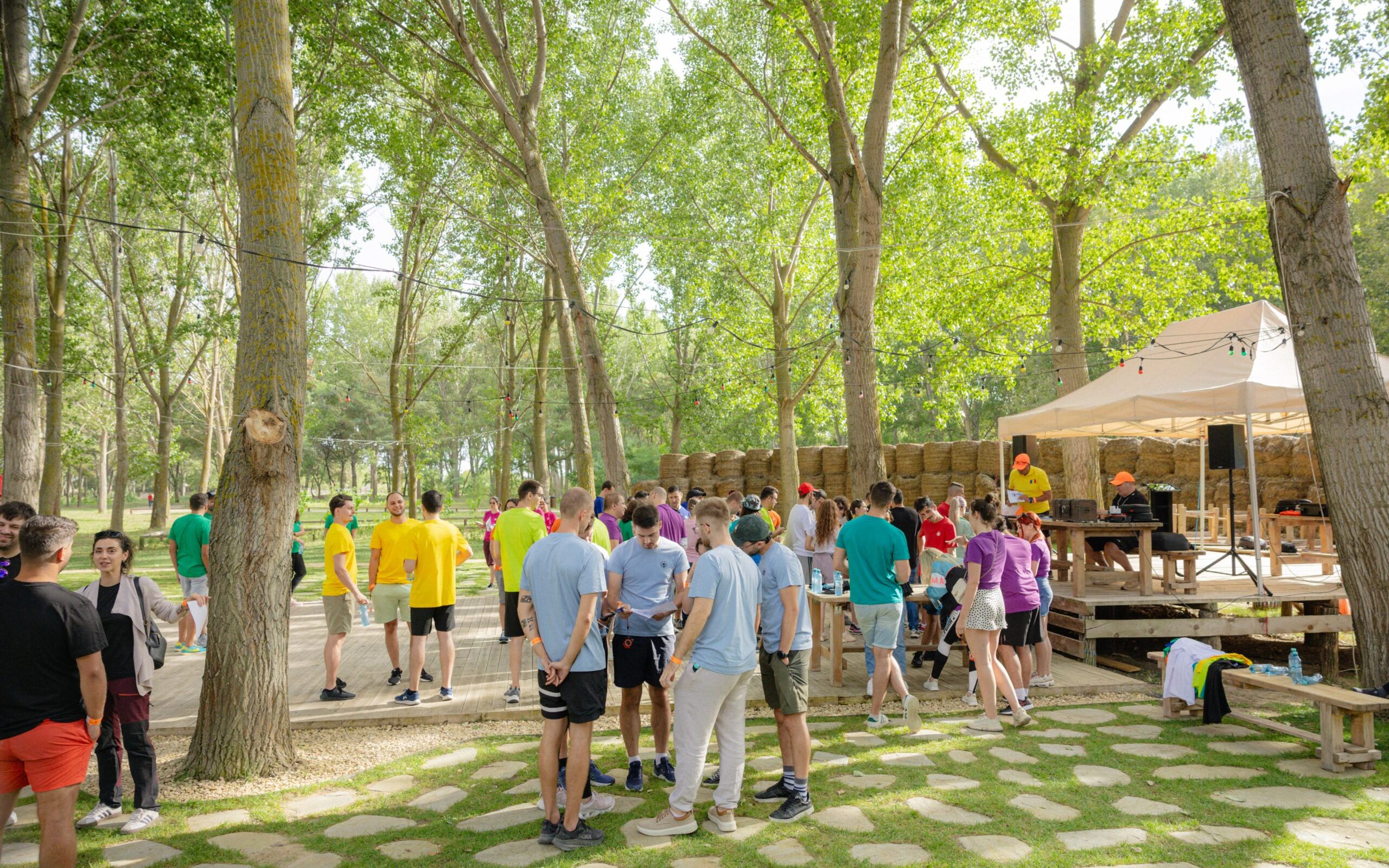 Teambuilding by Zaga Zaga