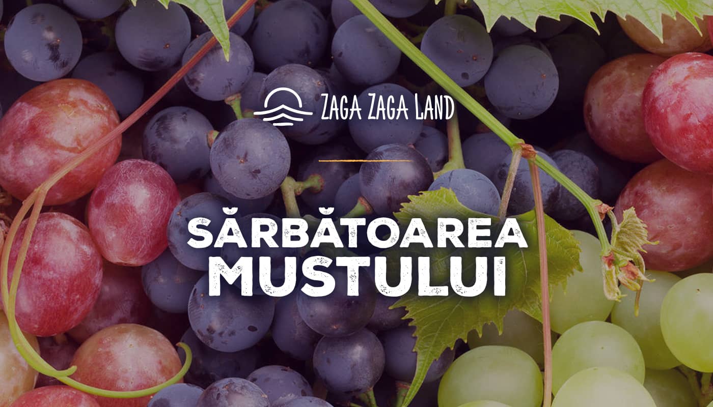 Sărbătoarea Mustului 3 octombrie 2020 | Zaga Zaga Land