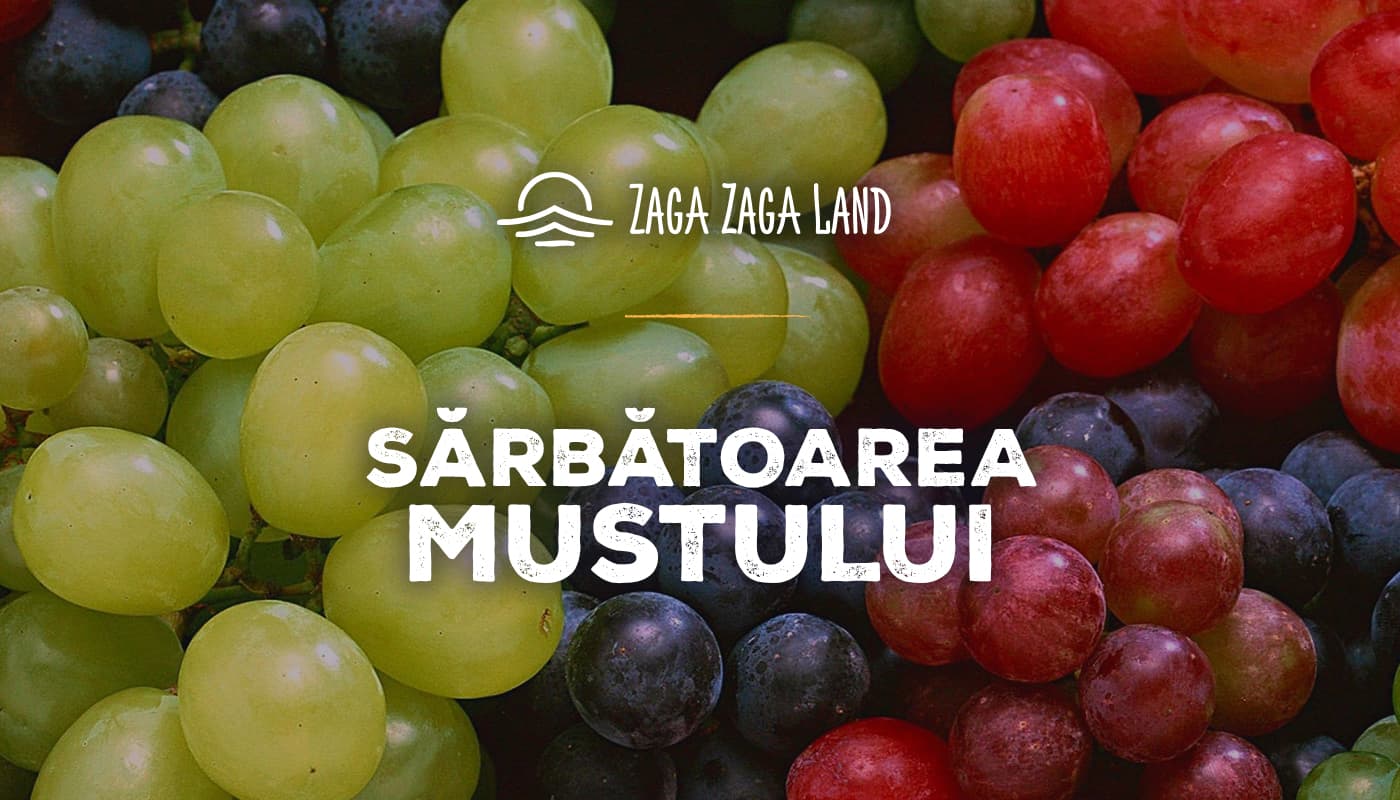 Sarbatoarea Mustului 10.10 cover blog