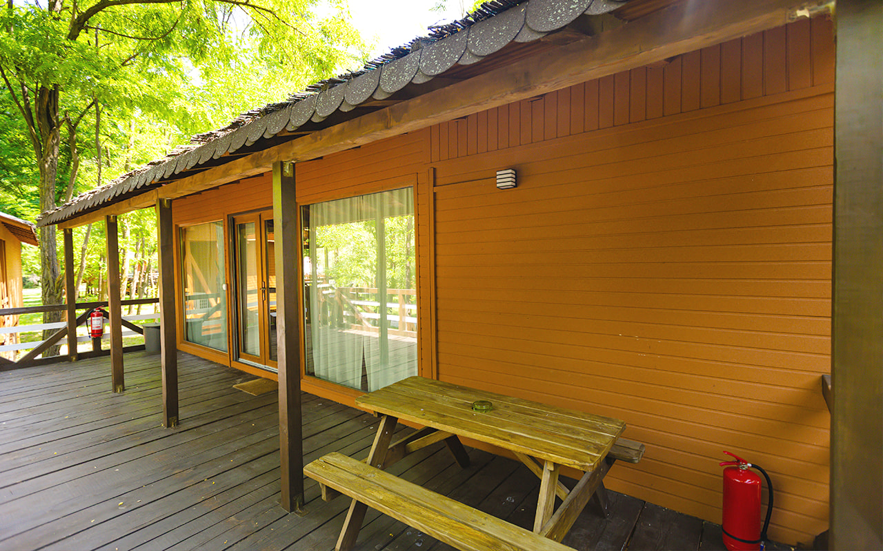 casa in copac zaga 06