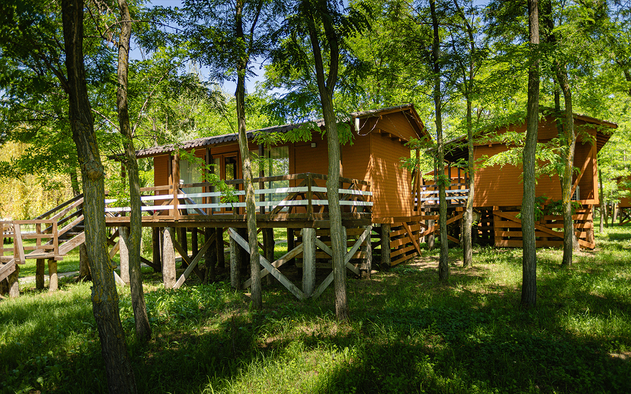 casa in copac zaga 15