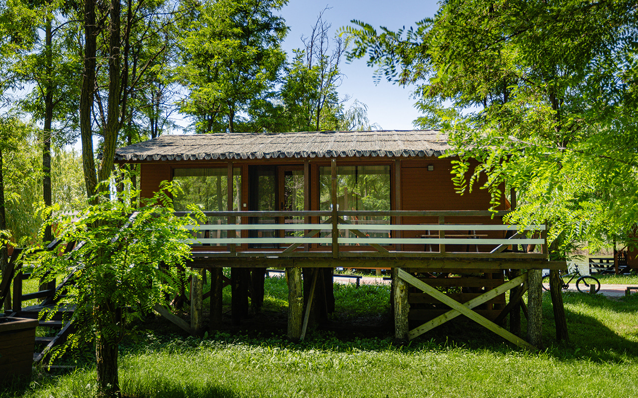 casa in copac zaga 17