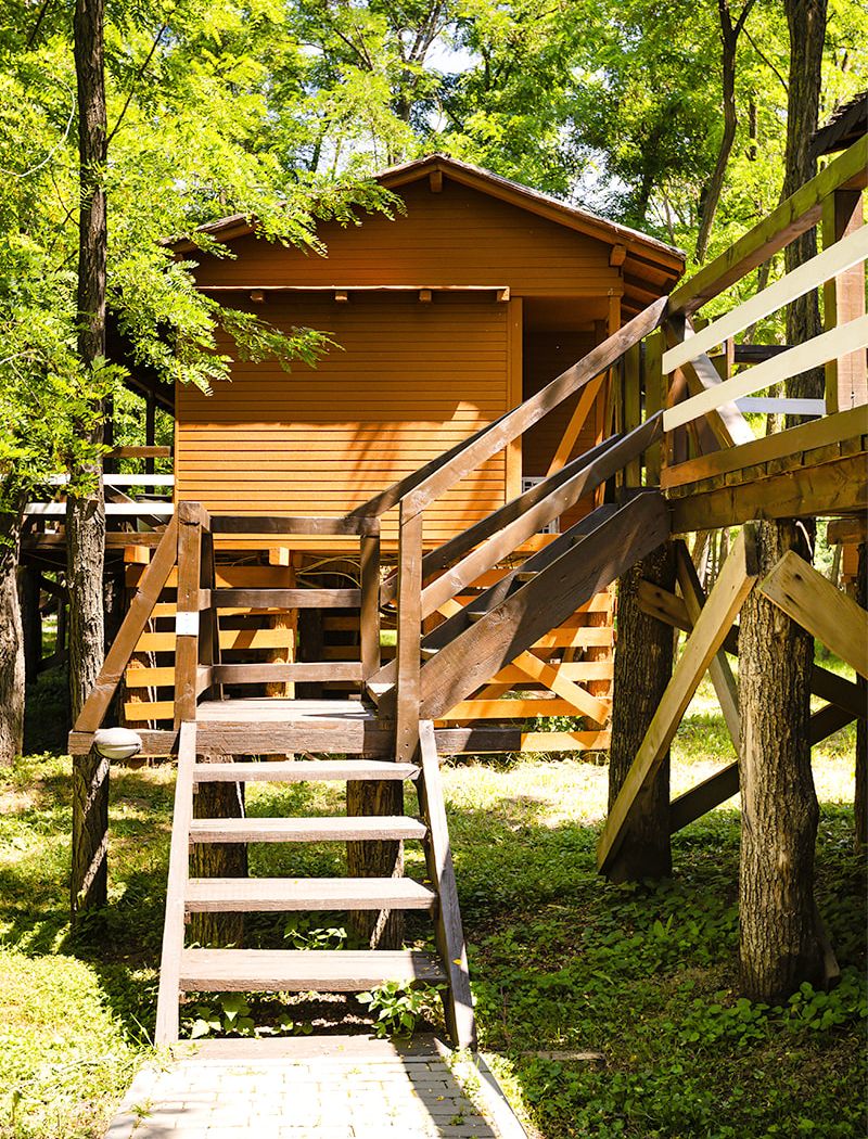 casa in copac zaga 08 250e49ff