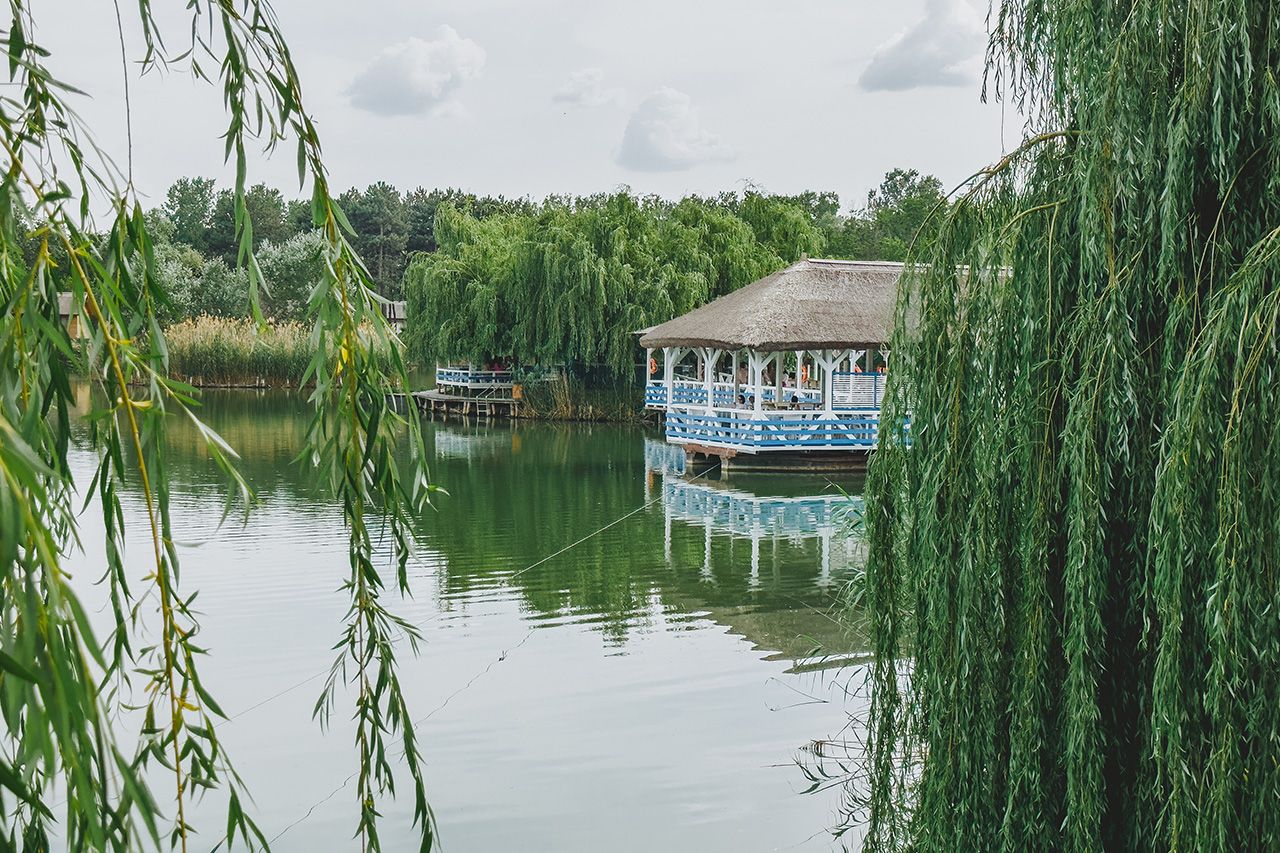 Restaurant Cherhana - Zaga Zaga Sat