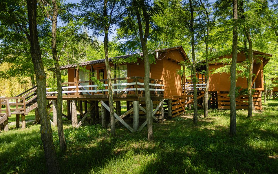 casa in copac zaga 15 b972afc6
